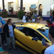 Illustration for article titled Bear In A Lamborghini Shuts Down LA Traffic